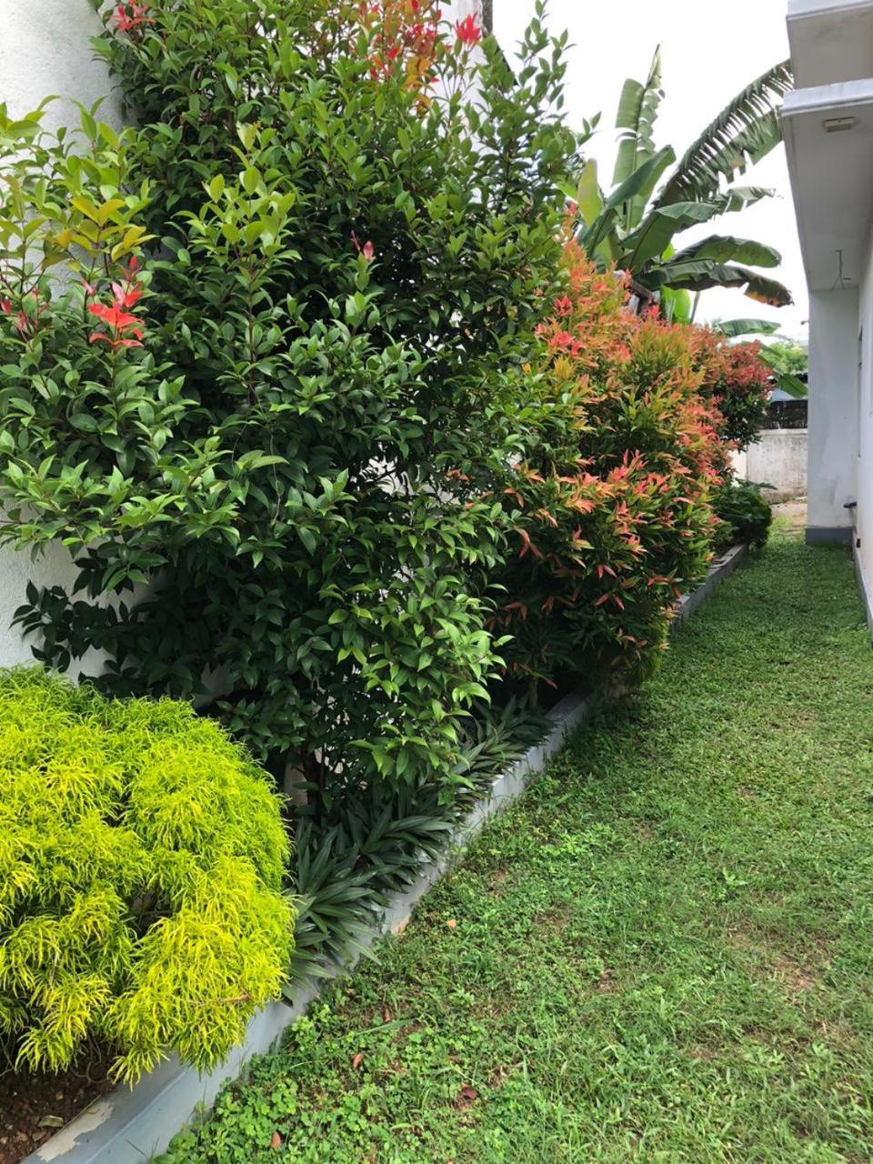 Vidushi Home Minuwangoda Екстериор снимка